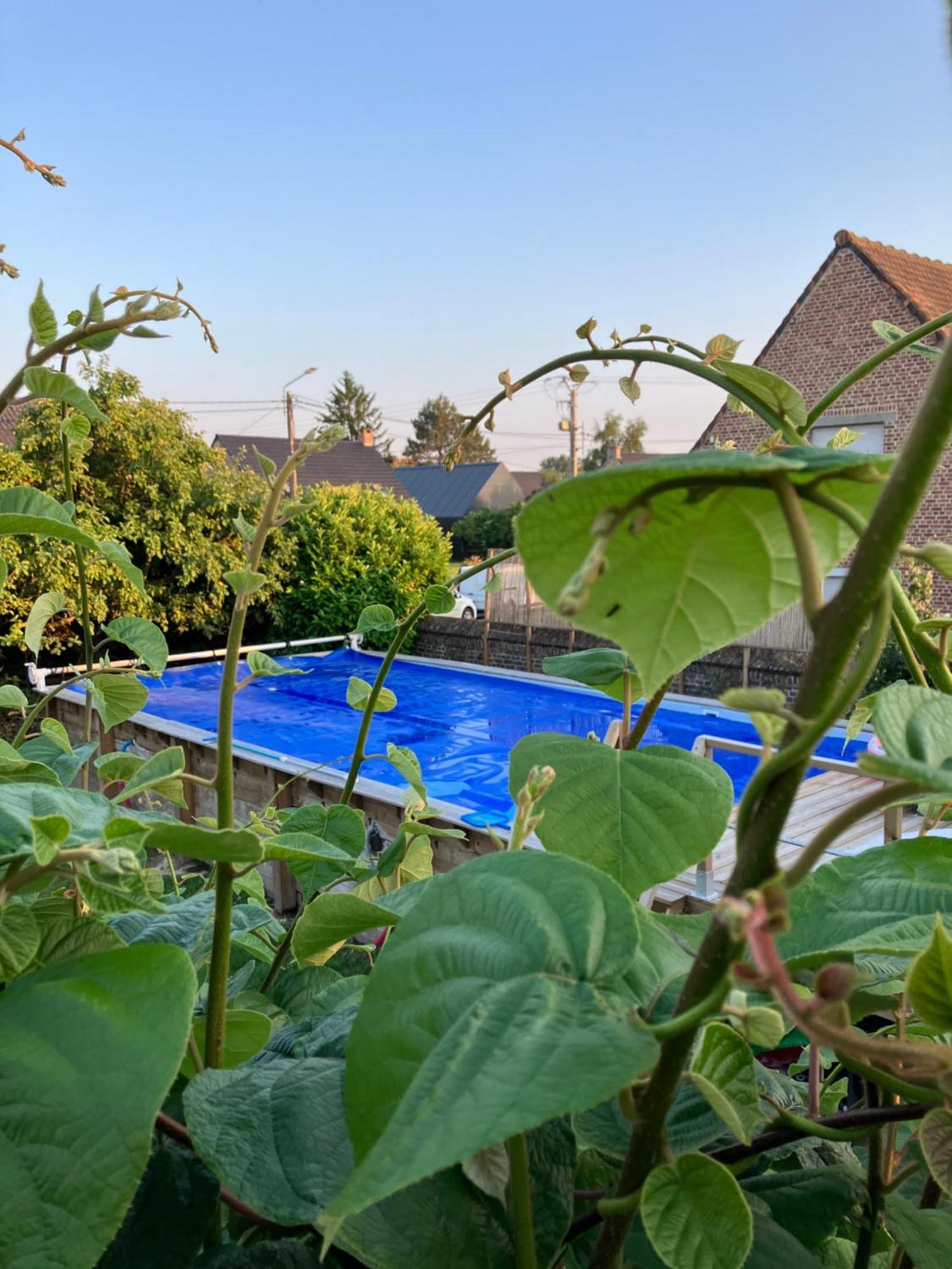 La Canopee Lecelles Exterior photo